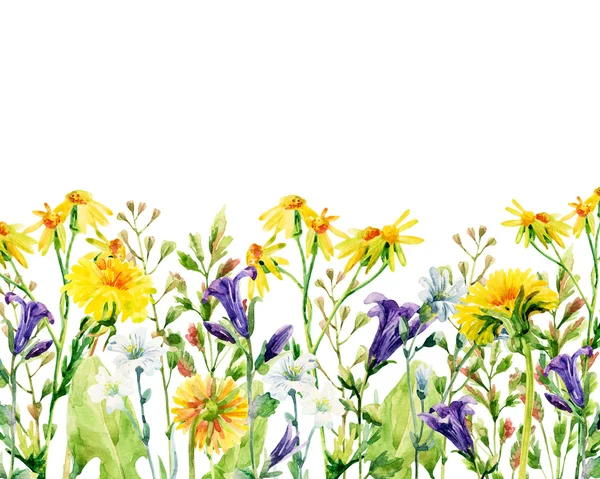 Tarjeta de flores acuarela pradera — Foto de Stock