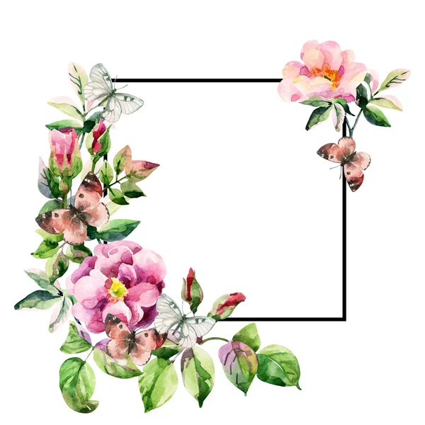 Acuarela brier flores y tarjeta de mariposa con marco cuadrado negro — Foto de Stock