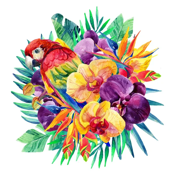 Watercolor exotic flowers and ara parrot