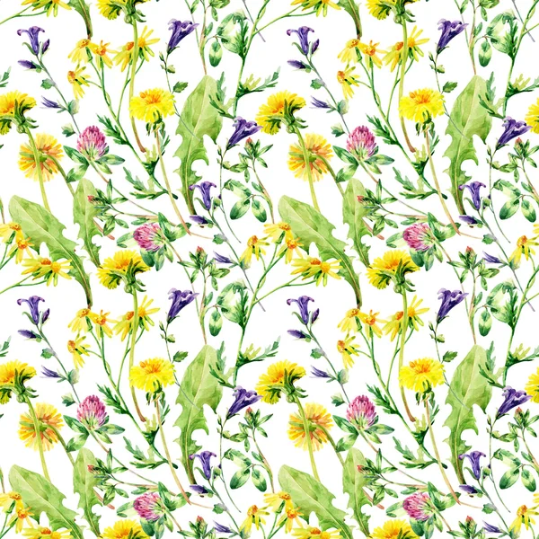 Meadow watercolor wild flowers seamless pattern — Stock Photo, Image