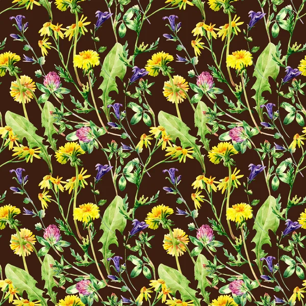 Acuarela pradera flores silvestres patrón sin costuras — Foto de Stock