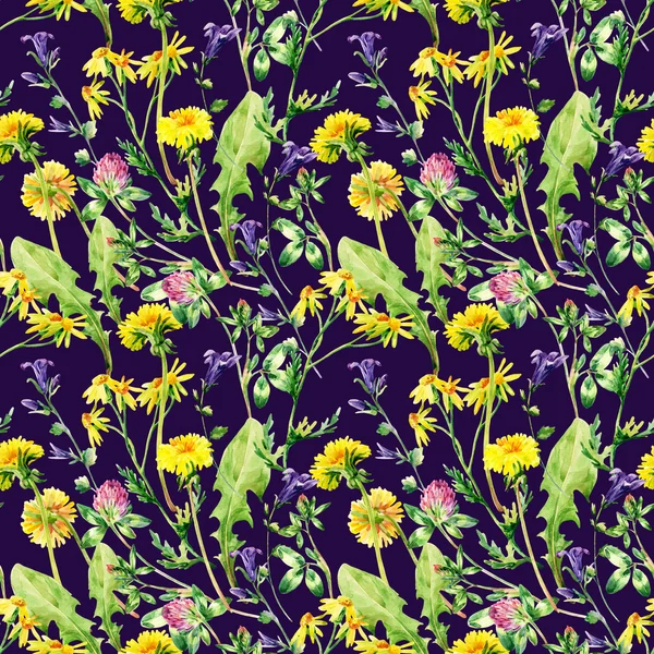 Meadow akvarell vilda blommor sömlösa mönster — Stockfoto
