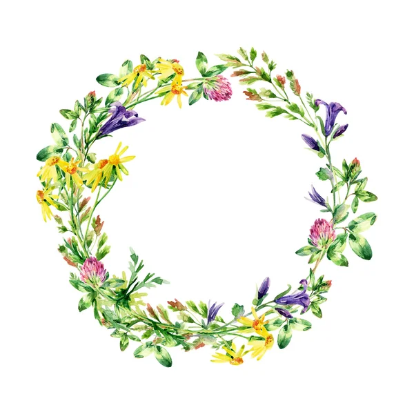 Watercolor wild flowers wreath — Stock Photo, Image