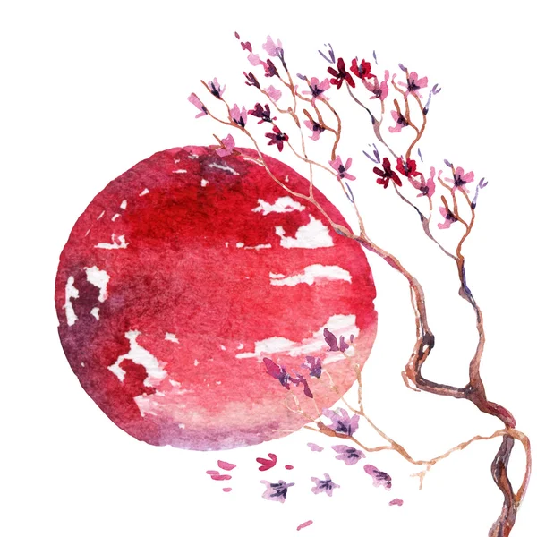 Japonia wiśniowy kwiat. — Zdjęcie stockowe