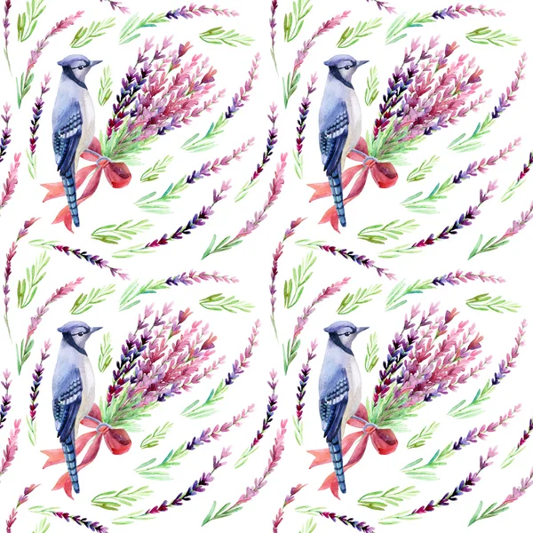 Mavi beyaz bir arka plan üzerinde izole jay. 