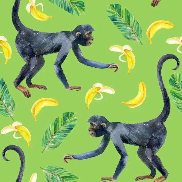Maymun seamless modeli.
