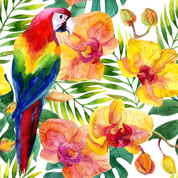 Parrot seamless pattern — Stock Photo, Image