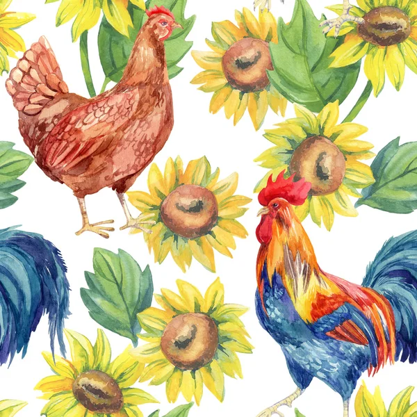 Pollo, gallina, gallo. Pintura acuarela — Foto de Stock