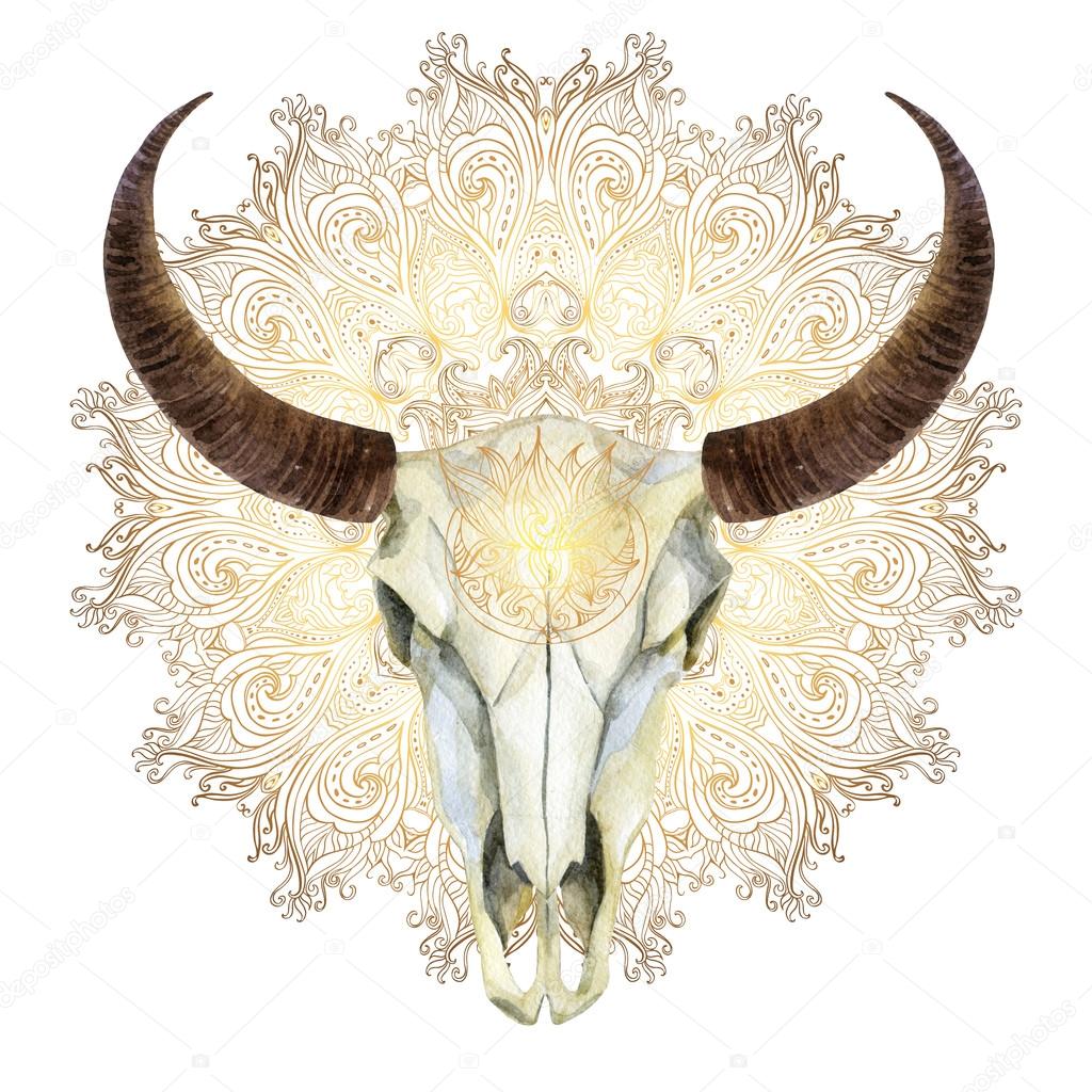 watercolor cow skull