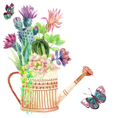 Suluboya succulents kartı. 