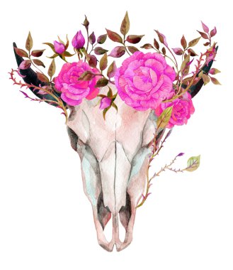 suluboya buffalo skull