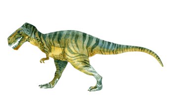 Tyrannosaurus Rex (Dinozor)