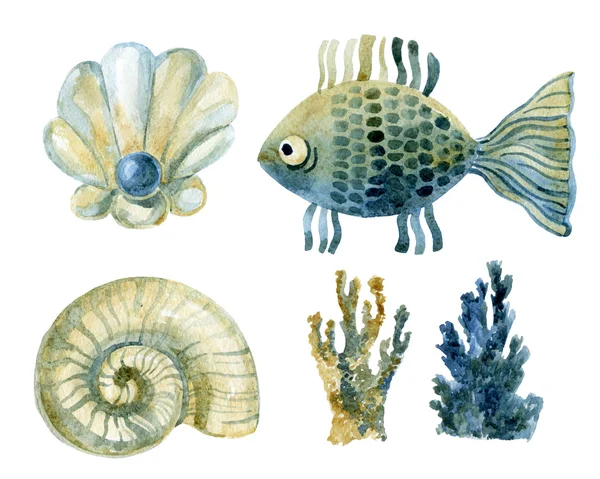 Watercolor marine set — Stock Photo, Image