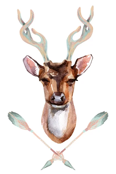鹿 - 正面図 — ストック写真