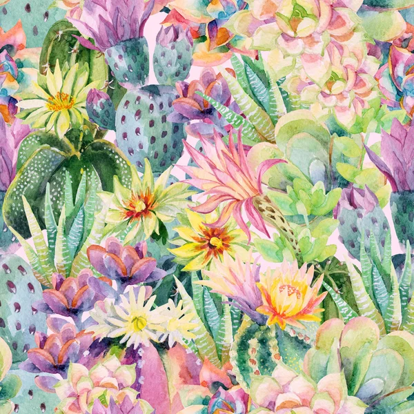 Akvarell virágzó kaktusz háttér — Stock Fotó