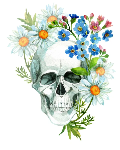 Watercolor human skull — Stock Photo, Image