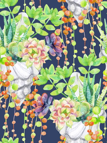 Akvarell succulents varrat nélküli mintát fehér háttér. — Stock Fotó