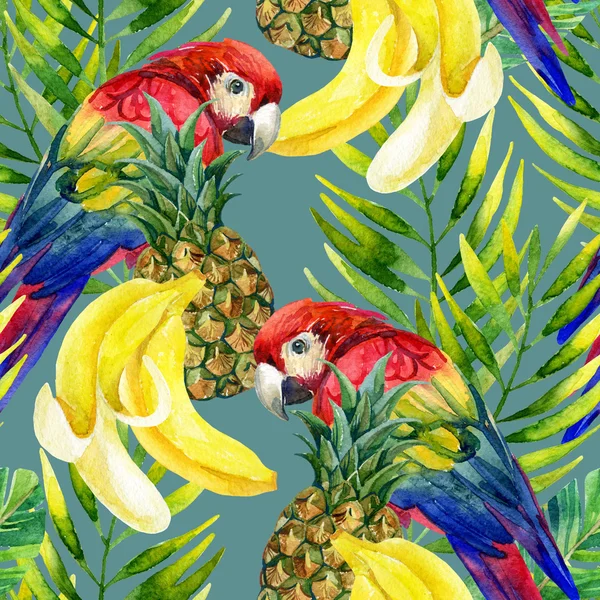 앵무새 완벽 한 패턴 — 스톡 사진