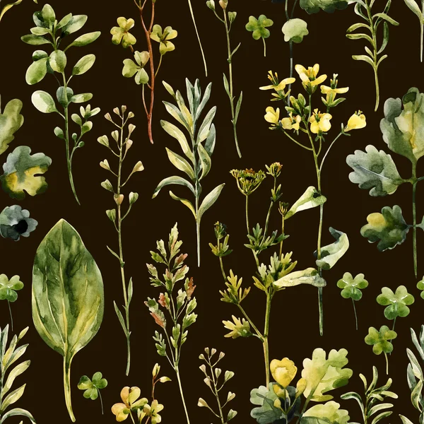 Akvarell äng blommor, ogräs och örter seamless mönster — Stockfoto
