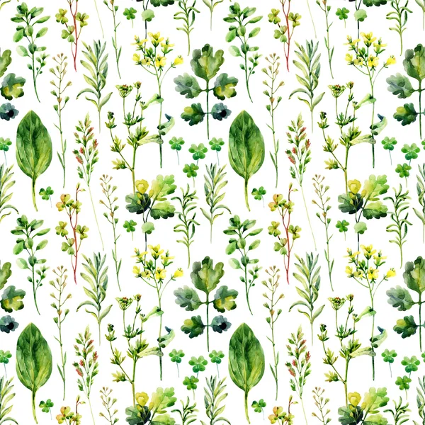 Acuarela pradera malezas y hierbas patrón sin costura — Foto de Stock