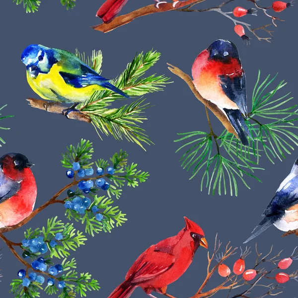 Watercolor bullfinch, titmouse, cardinal and sparrow on branches — Stock Photo, Image
