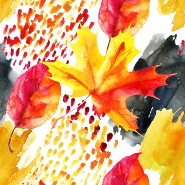 Sonbahar ash, suluboya akçaağaç yaprağı dokulu arka plan.