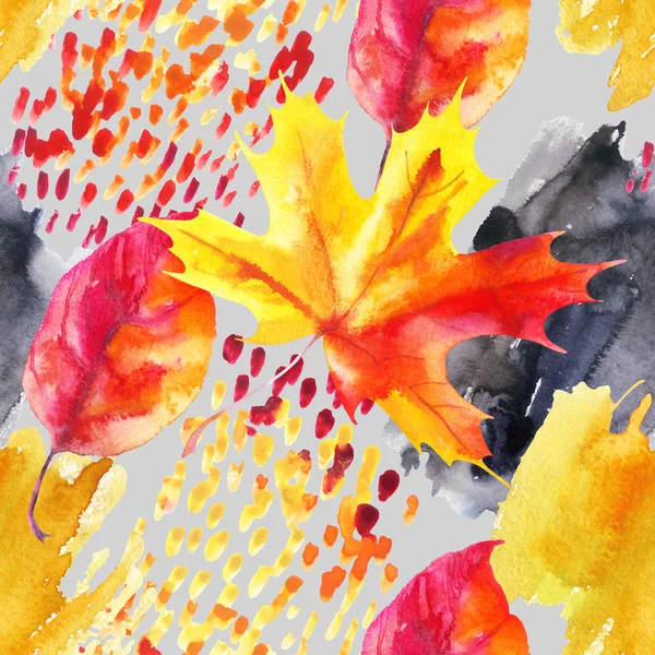 Осенний ясень, кленовый лист на акварельном фоне . — стоковое фото