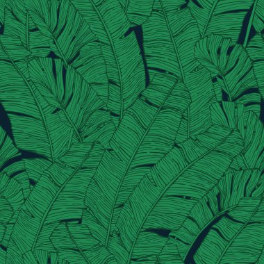 Muz pürüzsüz bir iz bırakır. Baskı, tekstil, kumaş, kapak tasarımı için orman yeşilliği arka planı. Sanat tarzında koyu yeşil tropikal yaprak. Vektör illüstrasyonu
