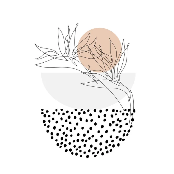 Bir Çizgi Soyut Tropikal Çiçek Posteri Tasarımı Strelitzia Çizimi Geometrik — Stok Vektör