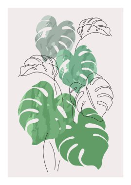 Soyut asgari canavar yaprakları bir çizgi halinde bitki ve suluboya siluetler çizer. Devamlı çizgi sanatı tarzında modern vektör illüstrasyonu. Yaz tasarımı için basit botanik kavramı