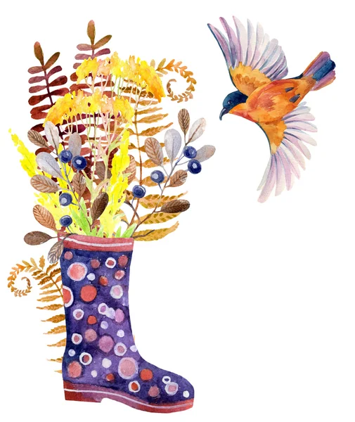 Watercolor polka dot rubber boots with meadow herbs and bird. — Stock Photo, Image