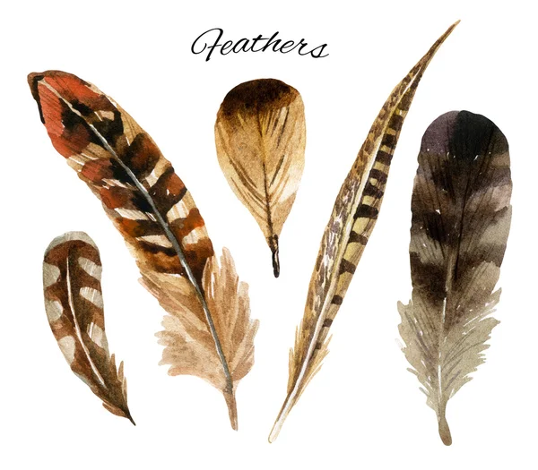 Watercolor feather set — Stock Photo, Image