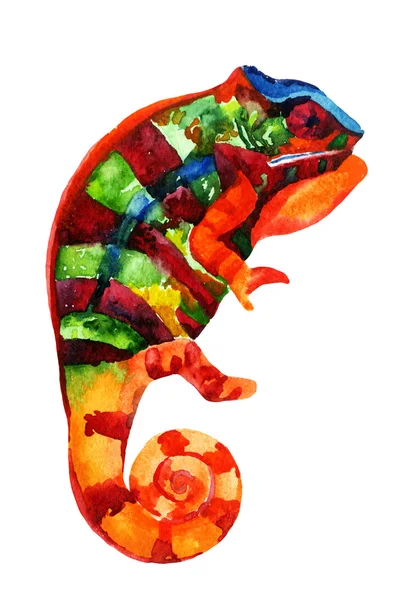 Watercolor chameleon — Stock Photo, Image