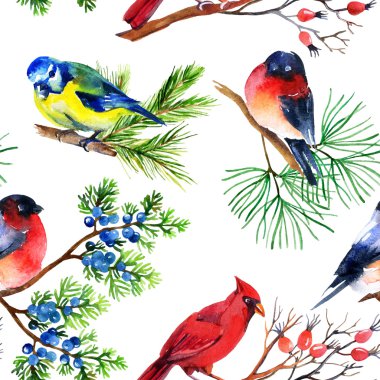 Suluboya şakrak kuşu, baştankara, Kardinal ve dalları üzerinde serçe