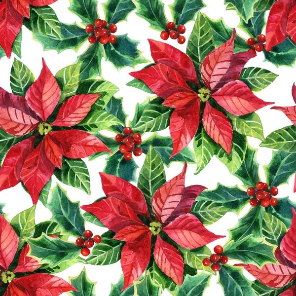 Weihnachtsstern, Aquarell Blume — Stockfoto