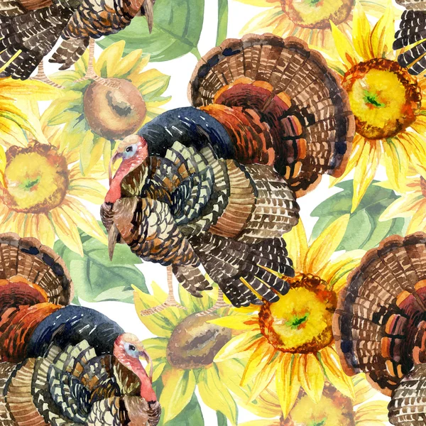 Watercolor turkey with sunflowers seamless pattern on the white background — Stock Photo, Image