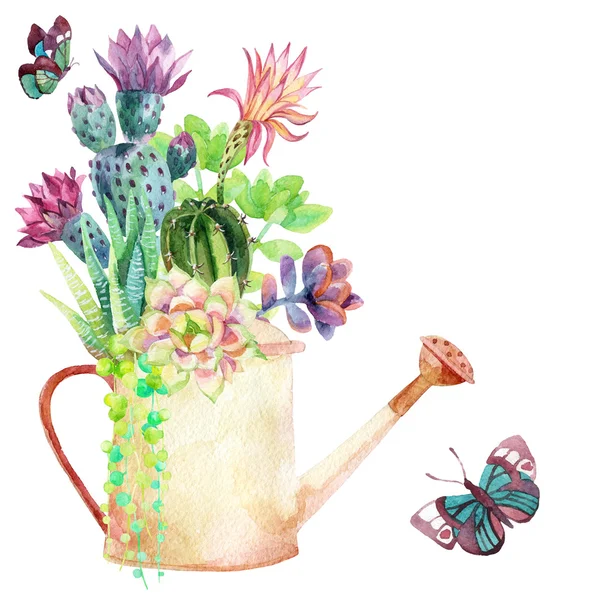 Watercolor succulents in a pot. — Stock Photo, Image