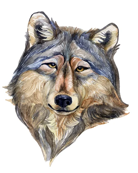 Wolf head  isolated on white Stock Picture