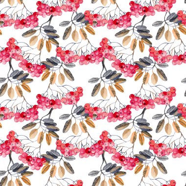 Suluboya rowan dalları arka plan.