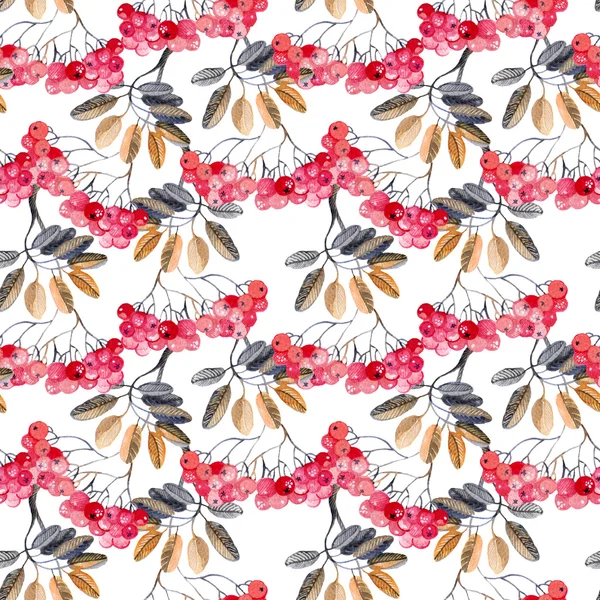 Suluboya rowan dalları arka plan.