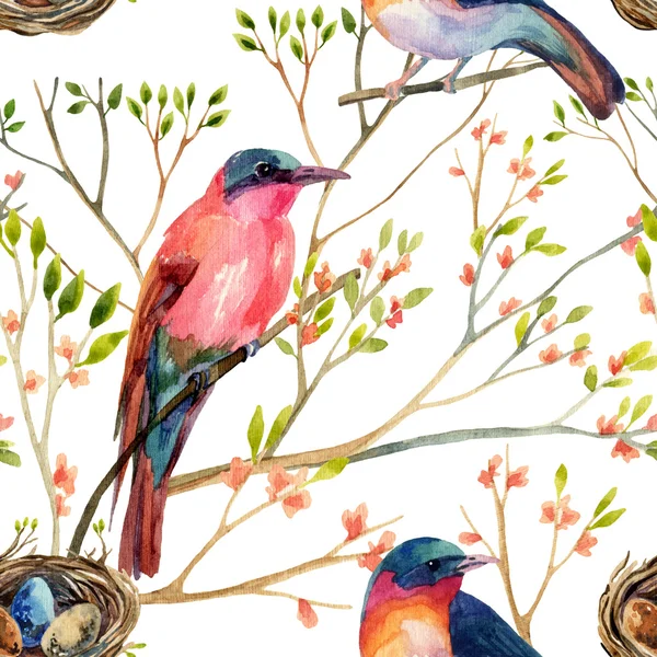 Watercolor birds on the blossoming trees — Stock Photo, Image