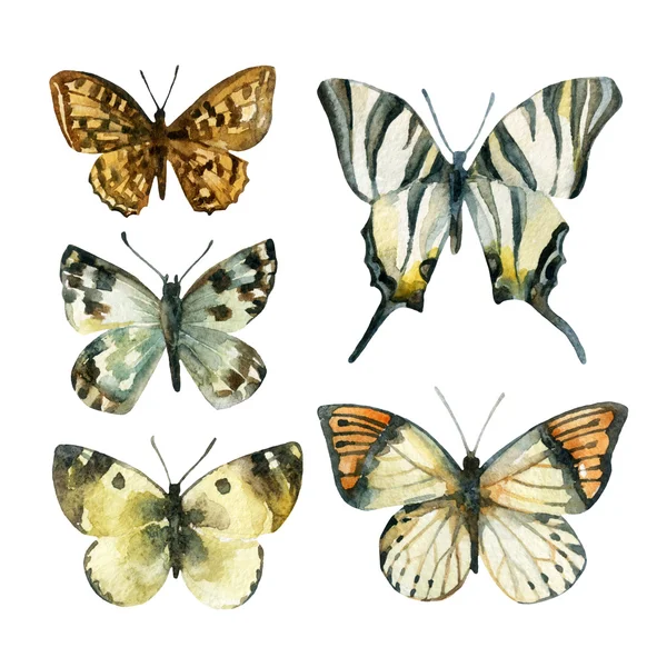 Conjunto de borboleta aquarela — Fotografia de Stock