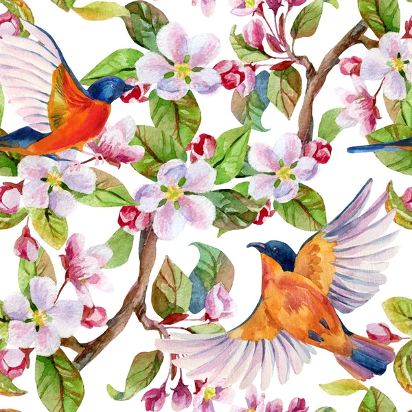 Apple blossom och flygande fåglar. — Stockfoto