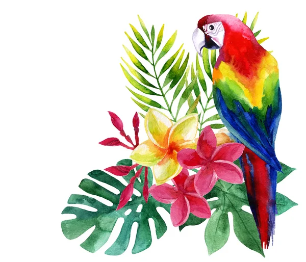 Watercolor parrot with exotic flowers and leaves — Stock Photo, Image