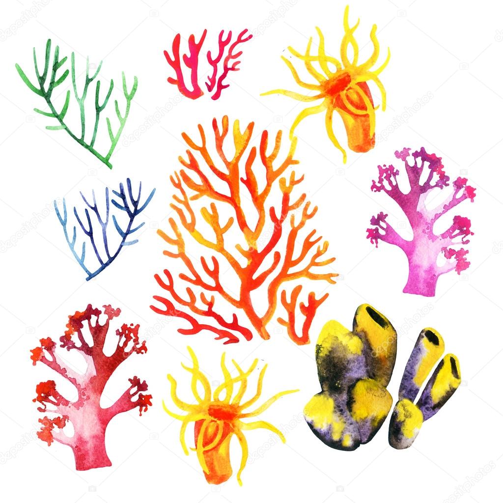 Illustration of the colorful coral reefs Stock Illustration by  ©Tetiana_Syrytsyna #92709728