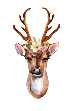 Geyik - Önden Görünüm