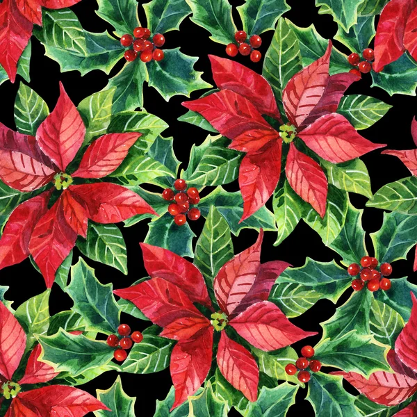Рождественская пуансеттия, цветок акварели — стоковое фото