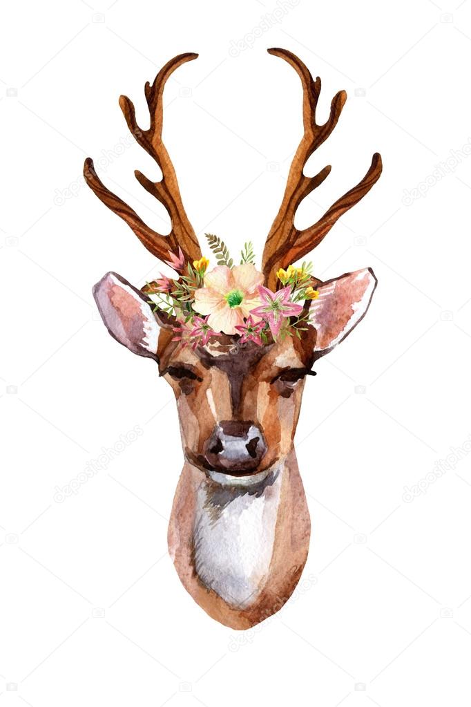 Deer - Front View Stock Photo by ©Tetiana_Syrytsyna 92710014