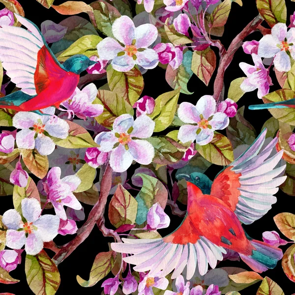 Apple blossom and flying birds. — Stock Photo, Image