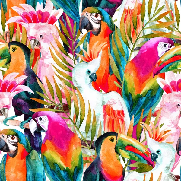 Aquarel papegaaien naadloze patroon — Stockfoto